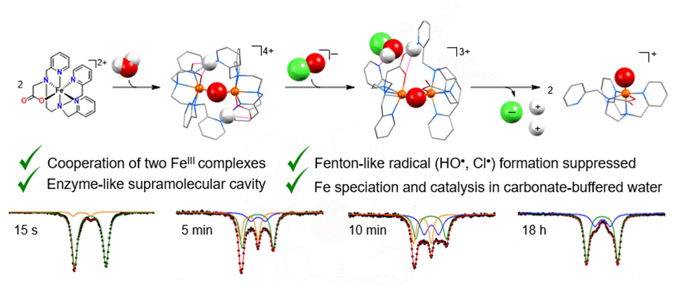catalysis scheme